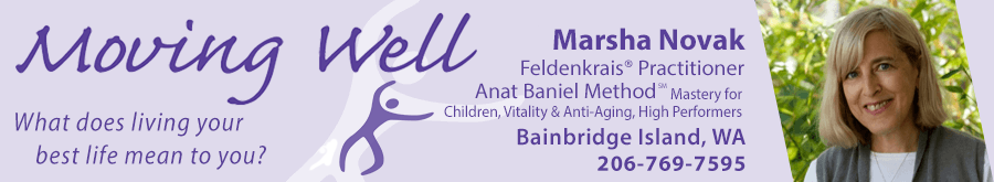 Moving Well - Marsha Novak